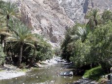 295 Rustaq, hei·e Quelle Ain al Kasfah.JPG